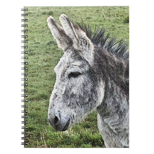 NIEDLICHER DONKEY NOTIZBLOCK (Vorderseite)