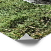 NIEDLICHER DONKEY POSTER (Ecke)