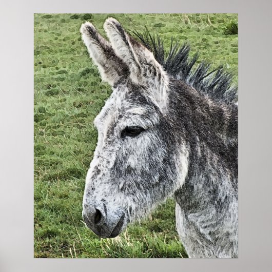 NIEDLICHER DONKEY POSTER (Vorne)
