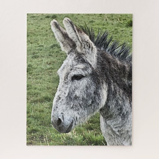 NIEDLICHER DONKEY PUZZLE (Vertikal)