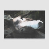 NIEDLICHER DONKEY SEIDENPAPIER (Vorderseite)