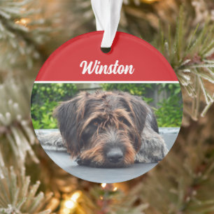 Niedlicher Drahthaarterrier Pointer Dog Weihnachts Ornament