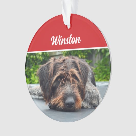 Niedlicher Drahthaarterrier Pointer Dog Weihnachts Ornament (Vorderseite)