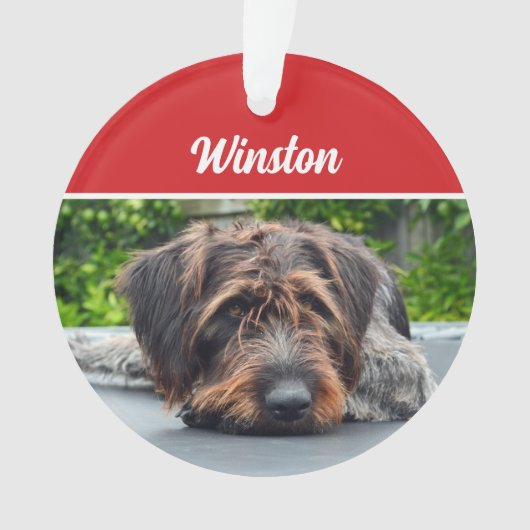 Niedlicher Drahthaarterrier Pointer Dog Weihnachts Ornament (Vorderseite)