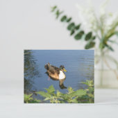 Niedlicher Duck DIY Postkarte (Stehend Vorderseite)