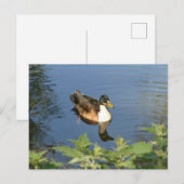 Niedlicher Duck DIY Postkarte (Vorne/Hinten)