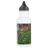 Niedlicher Edelstahlflasche (Rechts)
