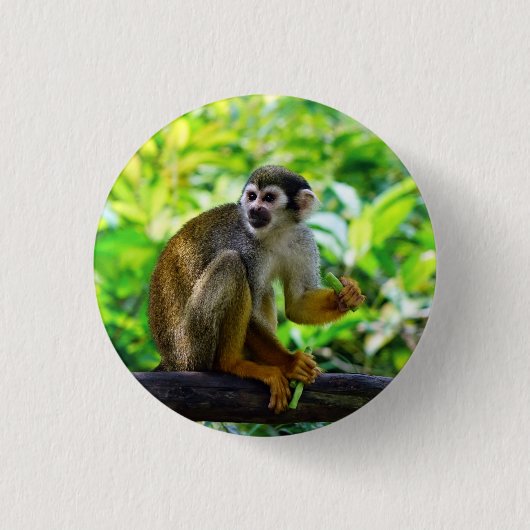Niedlicher Eichhörnchenaffe Button (Vorderseite)