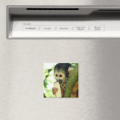 Niedlicher Eichhörnchenaffe, der einen Wafer Biscu Magnet (In Situ (Geschirrspüler))