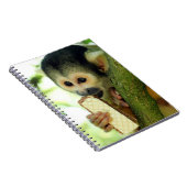 Niedlicher Eichhörnchenaffe, der einen Wafer Biscu Notizblock (Rechte Seite)