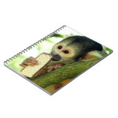 Niedlicher Eichhörnchenaffe, der einen Wafer Biscu Notizblock (Linke Seite)