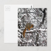 Niedlicher Eichhörnchenschneebaum Postkarte (Vorne/Hinten)