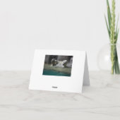 Niedlicher Eisbär im Wasser Dankeskarte (Rückseite)