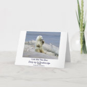 Niedlicher Eisbären-Cub und arktische Eisbären zum Karte (Rückseite)