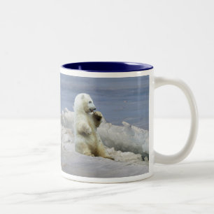 Niedlicher Eisbärenkuppel und arktischer Eiskaffee Zweifarbige Tasse