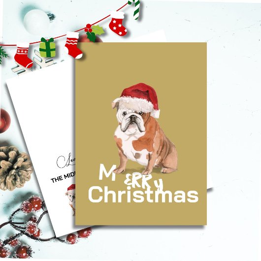 Niedlicher englischer Bulldog in Weihnachtsmannmüt