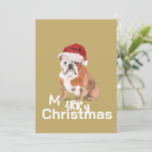 Niedlicher englischer Bulldog in Weihnachtsmannmüt (Stehend Vorderseite)