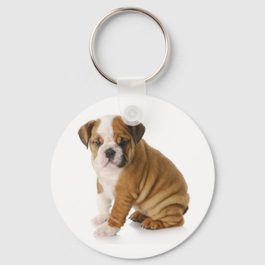 Niedlicher englischer Bulldog Puppy Dog Schlüssela Schlüsselanhänger (Vorderseite)