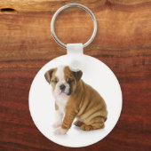 Niedlicher englischer Bulldog Puppy Dog Schlüssela Schlüsselanhänger (Vorderseite)