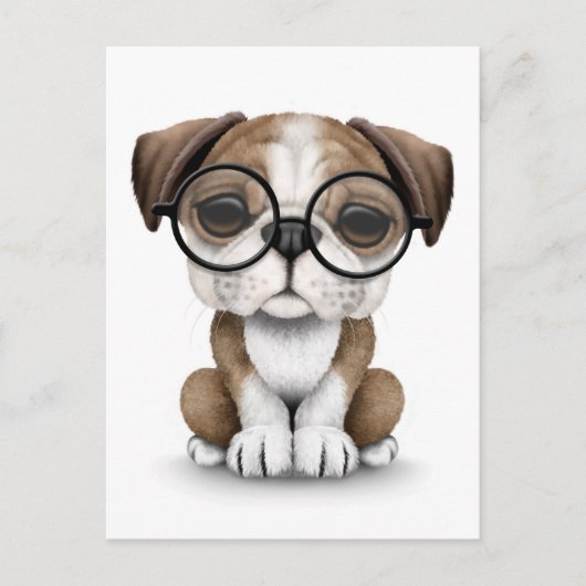 Niedlicher englischer Bulldog Welpe mit Brillen Wh Postkarte (Vorderseite)