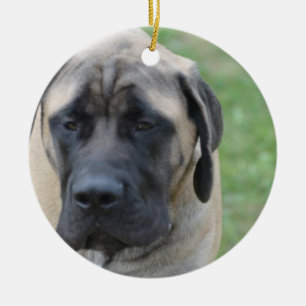 Niedlicher englischer Mastiff Keramik Ornament