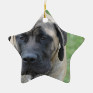 Niedlicher englischer Mastiff Keramikornament