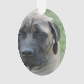 Niedlicher englischer Mastiff Ornament (Vorderseite)