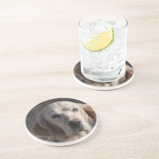 Niedlicher englischer Setzer-Untersetzer Getränkeuntersetzer (Seite)