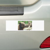 Niedlicher entzückender autoaufkleber (Auf Auto)