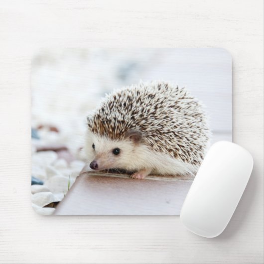 niedlicher entzückender Baby-Igel Mousepad (Mit Mouse)