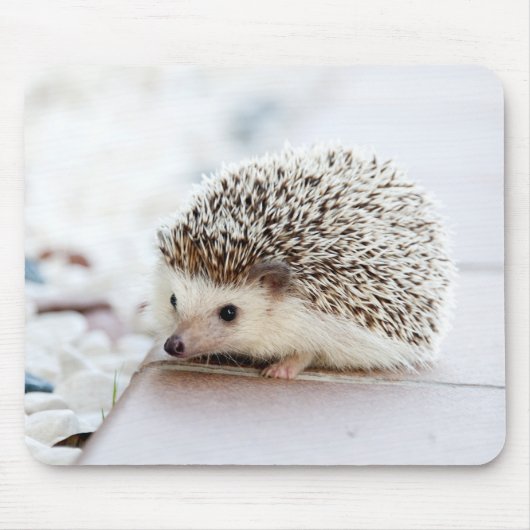 niedlicher entzückender Baby-Igel Mousepad (Vorne)