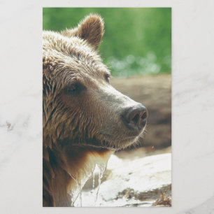 Niedlicher entzückender briefpapier