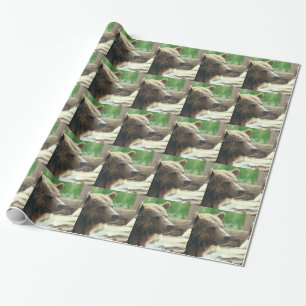Niedlicher entzückender geschenkpapier