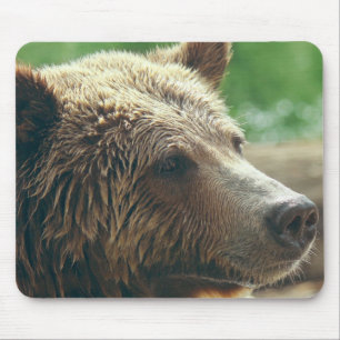 Niedlicher entzückender mousepad