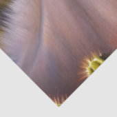 Niedlicher Esel mit blühenden Kakteen Seidenpapier (Detail)