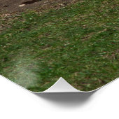 Niedlicher Esel-Ruhen nach einem Sandbad Poster (Ecke)