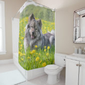 Niedlicher Eurasier Hund auf einer Wiese mit Lüste Duschvorhang (Beispiel)