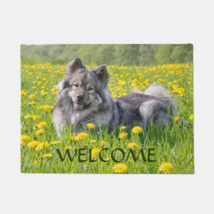 Niedlicher Eurasier-Hund in einer Weidenblüte Fußmatte