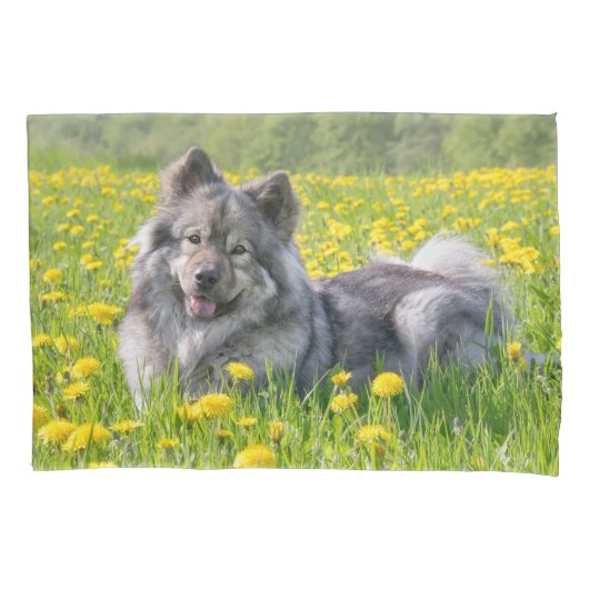 Niedlicher Eurasier Hund in einer Wiese blühende L Kissenbezug (Vorderseite)