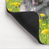 Niedlicher Eurasier Hund in einer Wiese blühende L Mousepad (Ecke)
