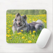 Niedlicher Eurasier Hund in einer Wiese blühende L Mousepad (Mit Mouse)