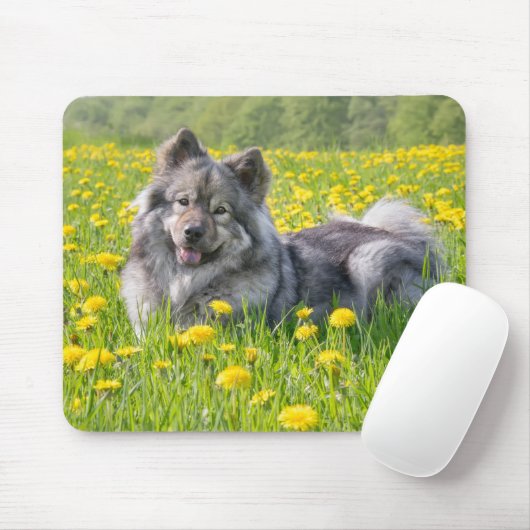 Niedlicher Eurasier Hund in einer Wiese blühende L Mousepad (Mit Mouse)