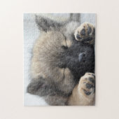 Niedlicher Eurasier-Welpe Puzzle (Vertikal)