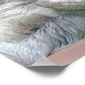 Niedlicher Faulenzer! Poster (Ecke)