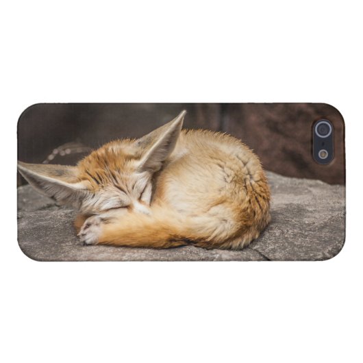 Niedlicher Fennec Fox iPhone Hülle (Rückseite Horizontal)
