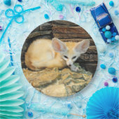 Niedlicher fennec Fuchs Pappteller (Party)