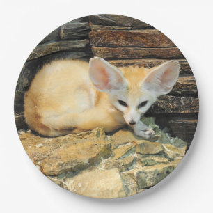 Niedlicher fennec Fuchs Pappteller
