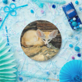 Niedlicher fennec Fuchs Pappteller (Party)