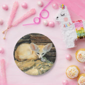 Niedlicher fennec Fuchs Pappteller (Party)