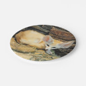 Niedlicher fennec Fuchs Pappteller (Schrägansicht)